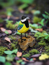 Blue Tit on Wood