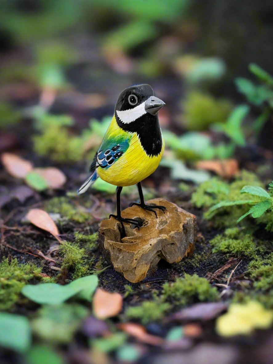 Blue Tit on Wood