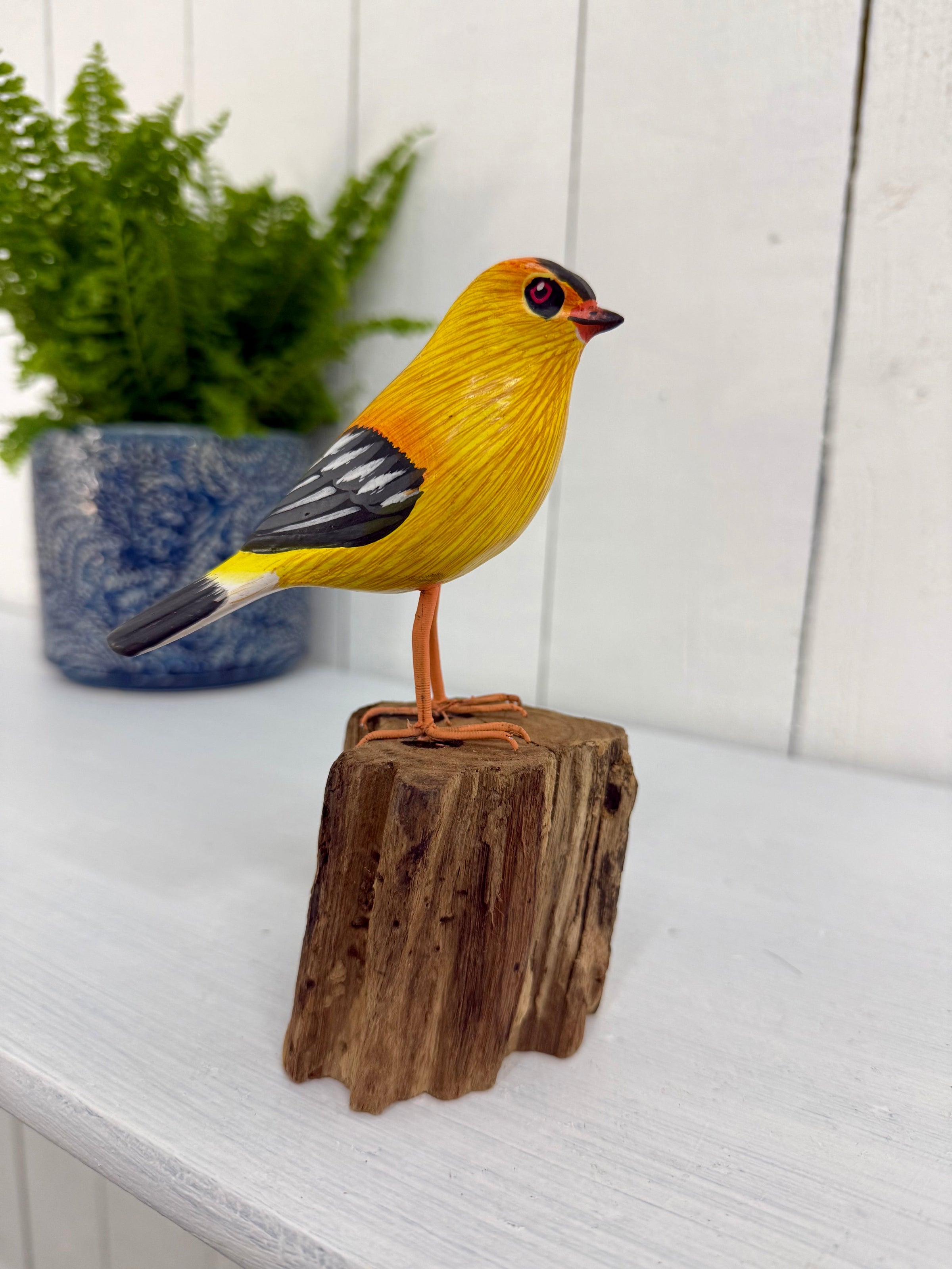 Golden Bird on Log
