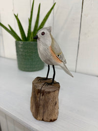 Small Wooden Bird on Log