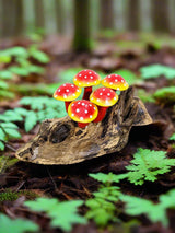 Toadstools On Wood