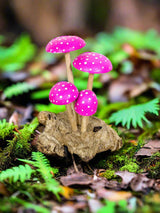 Mushrooms