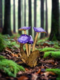 Small Mushrooms