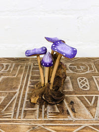 Small Mushrooms