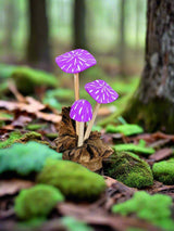 Mushrooms