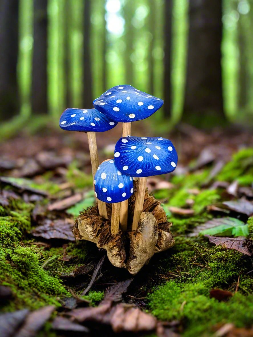Blue Mushrooms