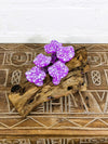 Five Mushrooms On Log