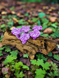 Five Mushrooms On Log
