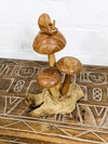 Snail On Mushrooms