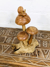 Snail On Mushrooms