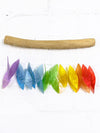 Rainbow Shell Driftwood Hanger
