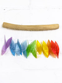 Rainbow Shell Driftwood Hanger