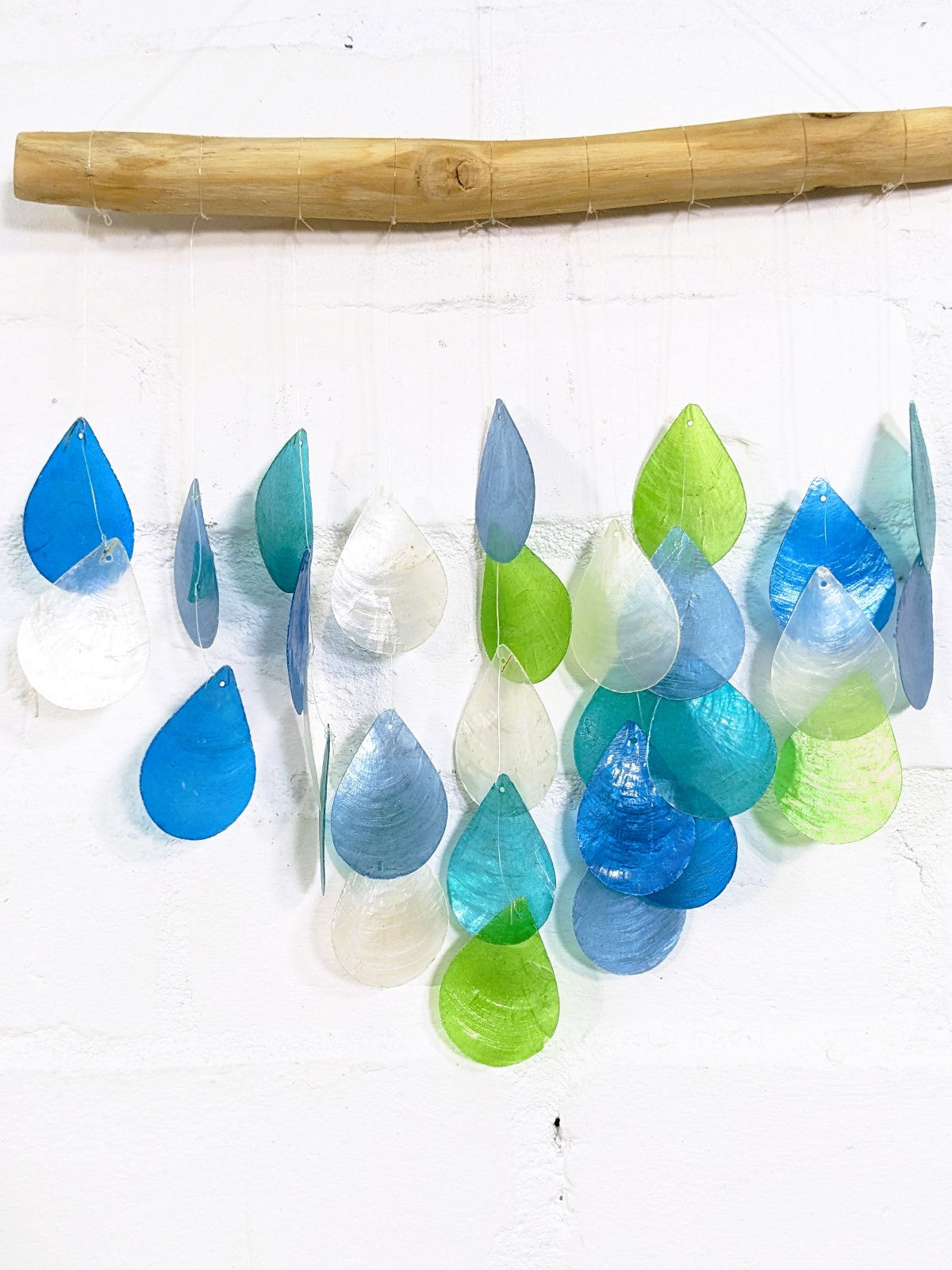Blue Shell Driftwood Hanger
