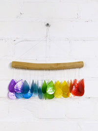 Rainbow Shell Driftwood Hanger