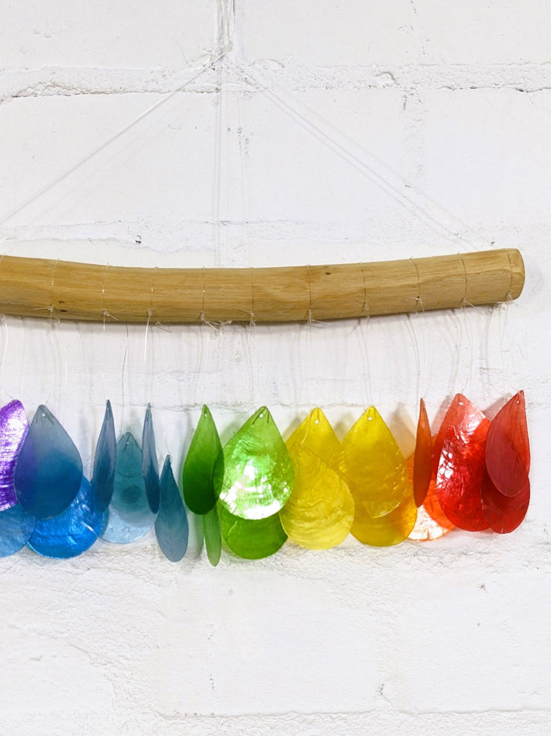 Rainbow Shell Driftwood Hanger
