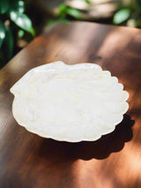 Oyster Shell Dish