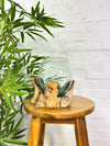 Molten Glass Vase on Driftwood