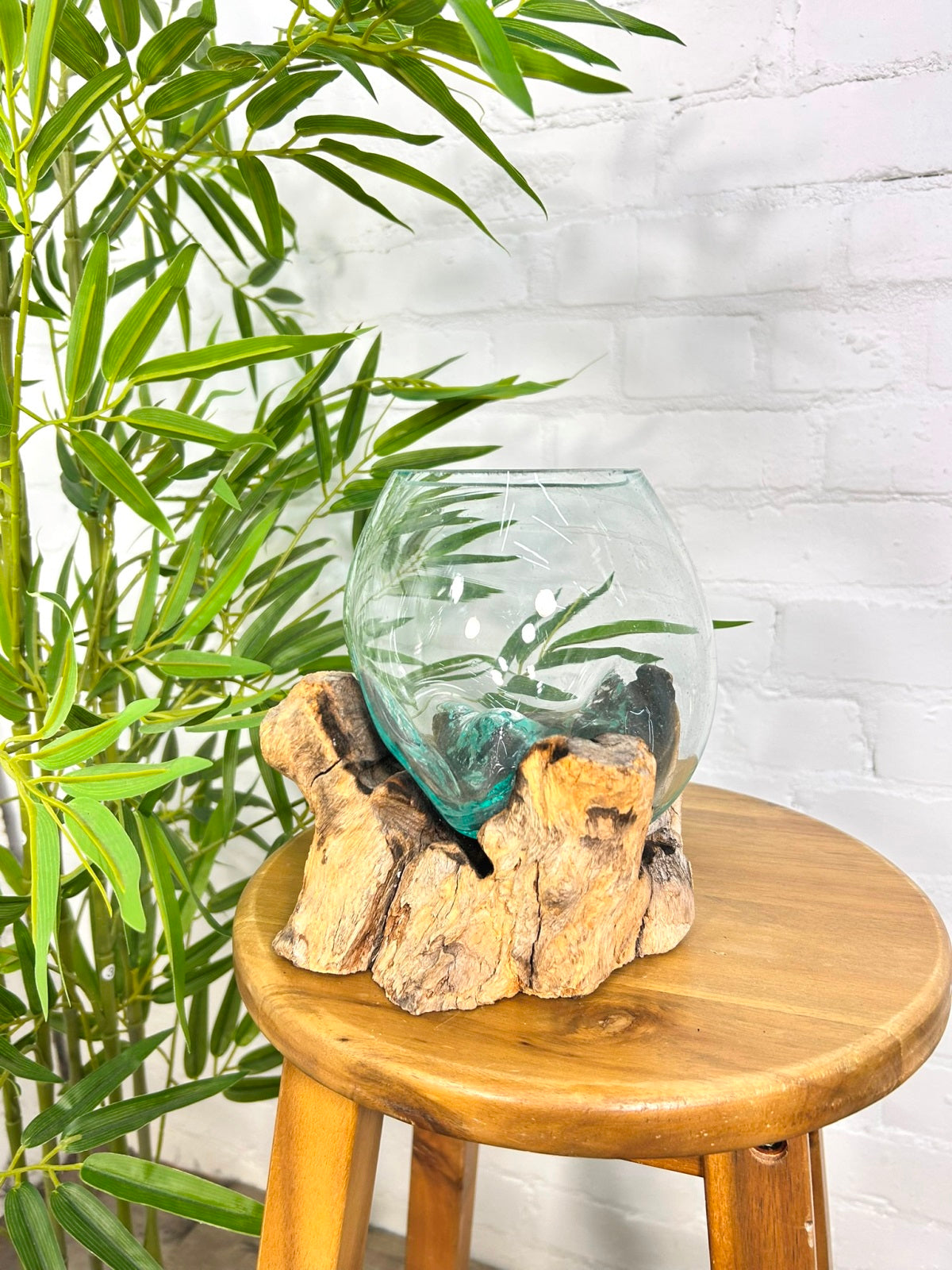 Molten Glass Vase on Driftwood