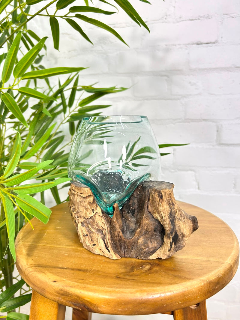 Molten Glass Vase on Driftwood