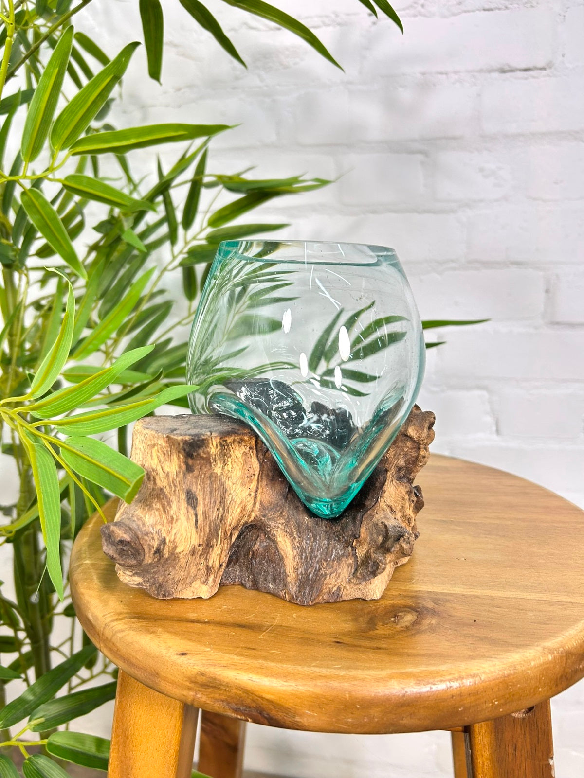 Molten Glass Vase on Driftwood