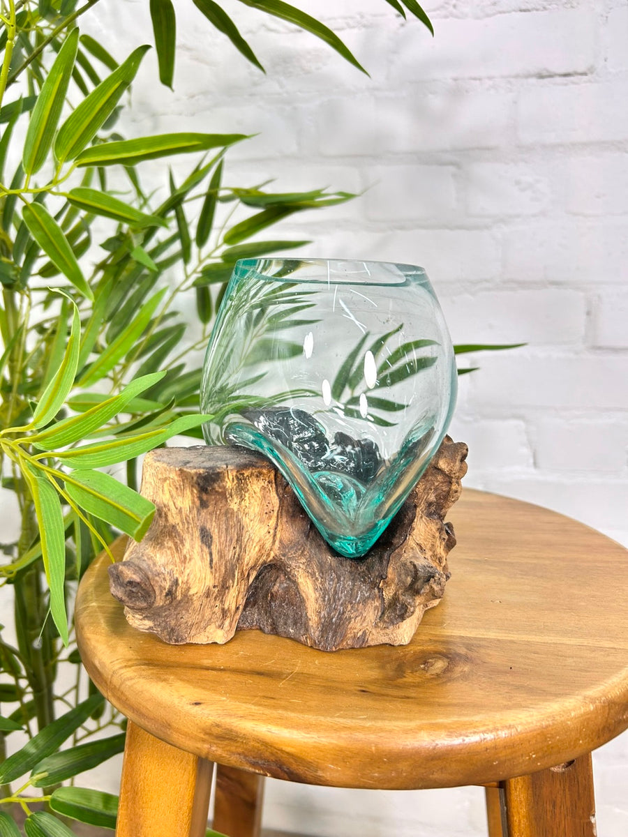 Molten Glass Vase on Driftwood