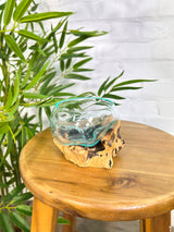 Molten Glass Vase on Driftwood