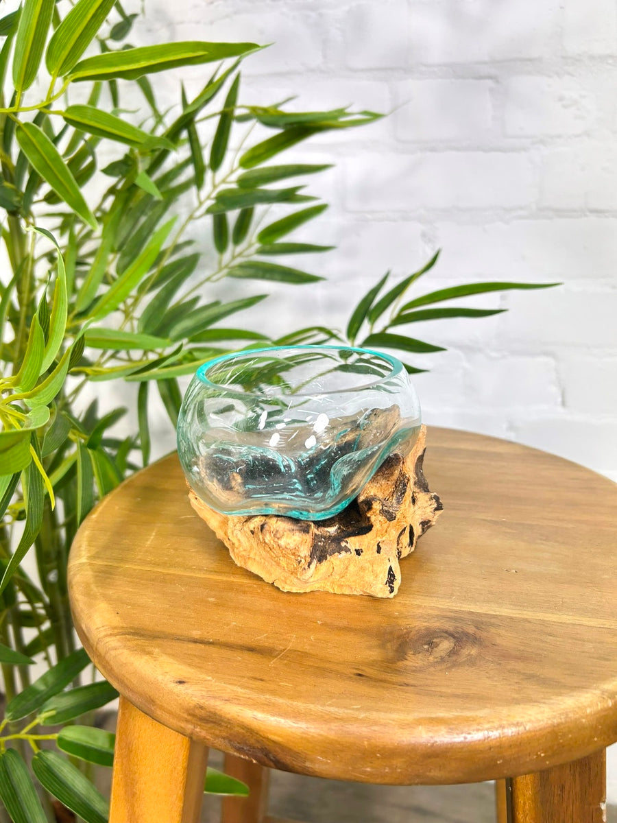 Molten Glass Vase on Driftwood