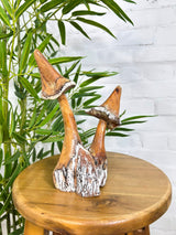 Carved Mushrooms