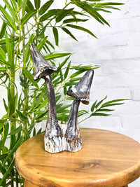 Carved Mushrooms