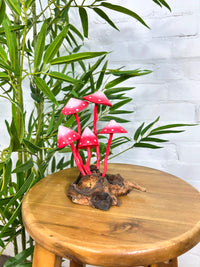 Pink Mushrooms on Log