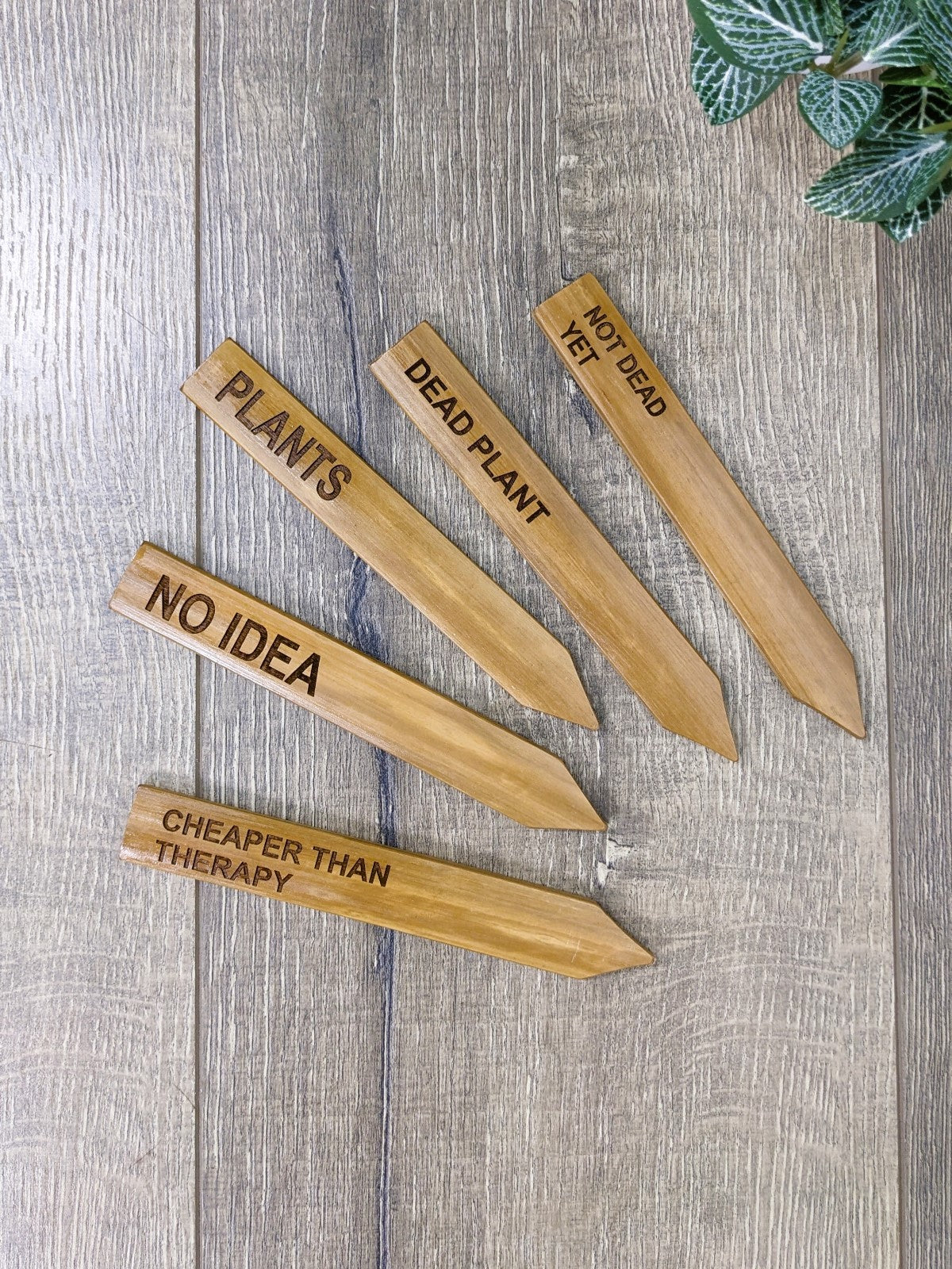 Set Of Five Plant Sticks