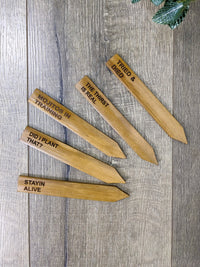 Set Of Five Plant Sticks