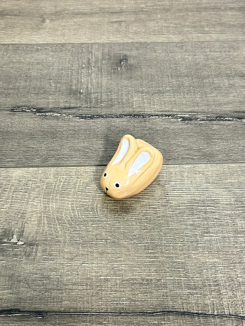 Painted Rabbit