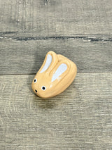 Painted Rabbit