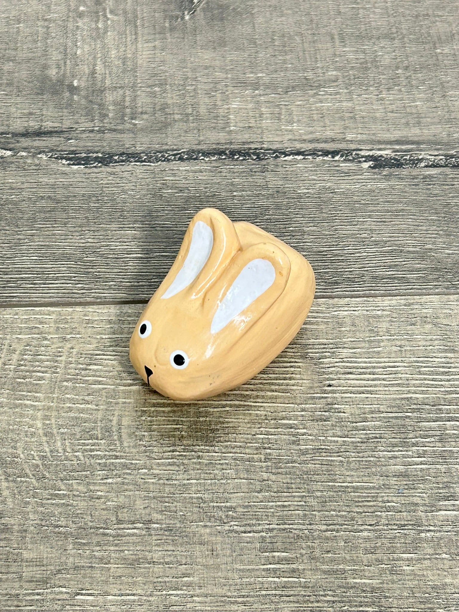 Painted Rabbit