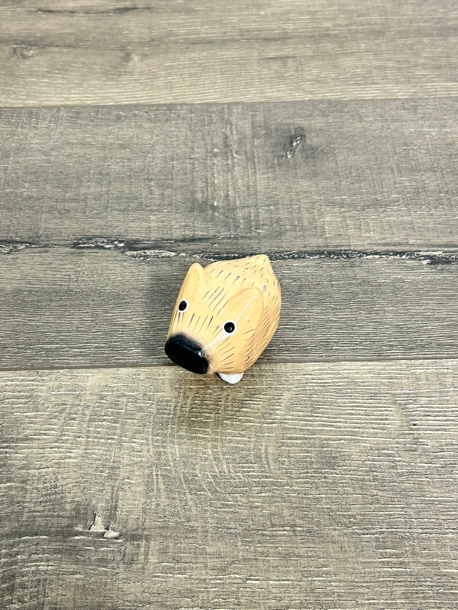 Painted Hog