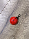 Small Wall Ladybirds