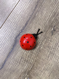 Small Wall Ladybirds