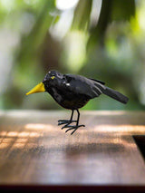 Metal Blackbird