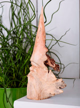 Greenman Parasite Wood Carving