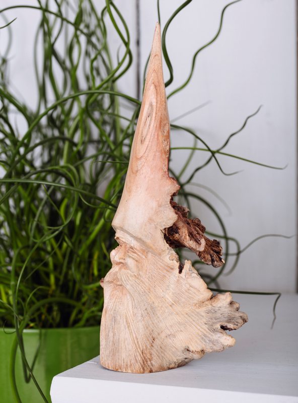 Greenman Parasite Wood Carving