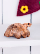 Frog On Parasite Wood