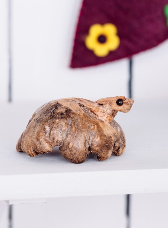 Frog On Parasite Wood