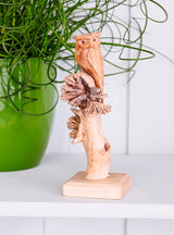 Owl On Parasite Wood