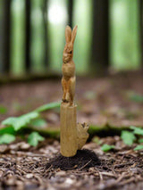 Rabbit On Parasite Wood