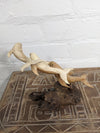 Three Dolphins On Parasite Wood
