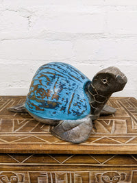 Blue Coconut Turtle