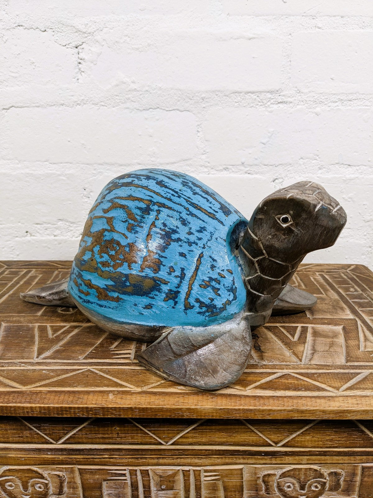 Blue Coconut Turtle