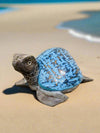 Blue Coconut Turtle