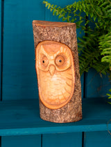 Carved Owl Wall Hanger